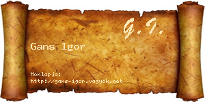 Gans Igor névjegykártya